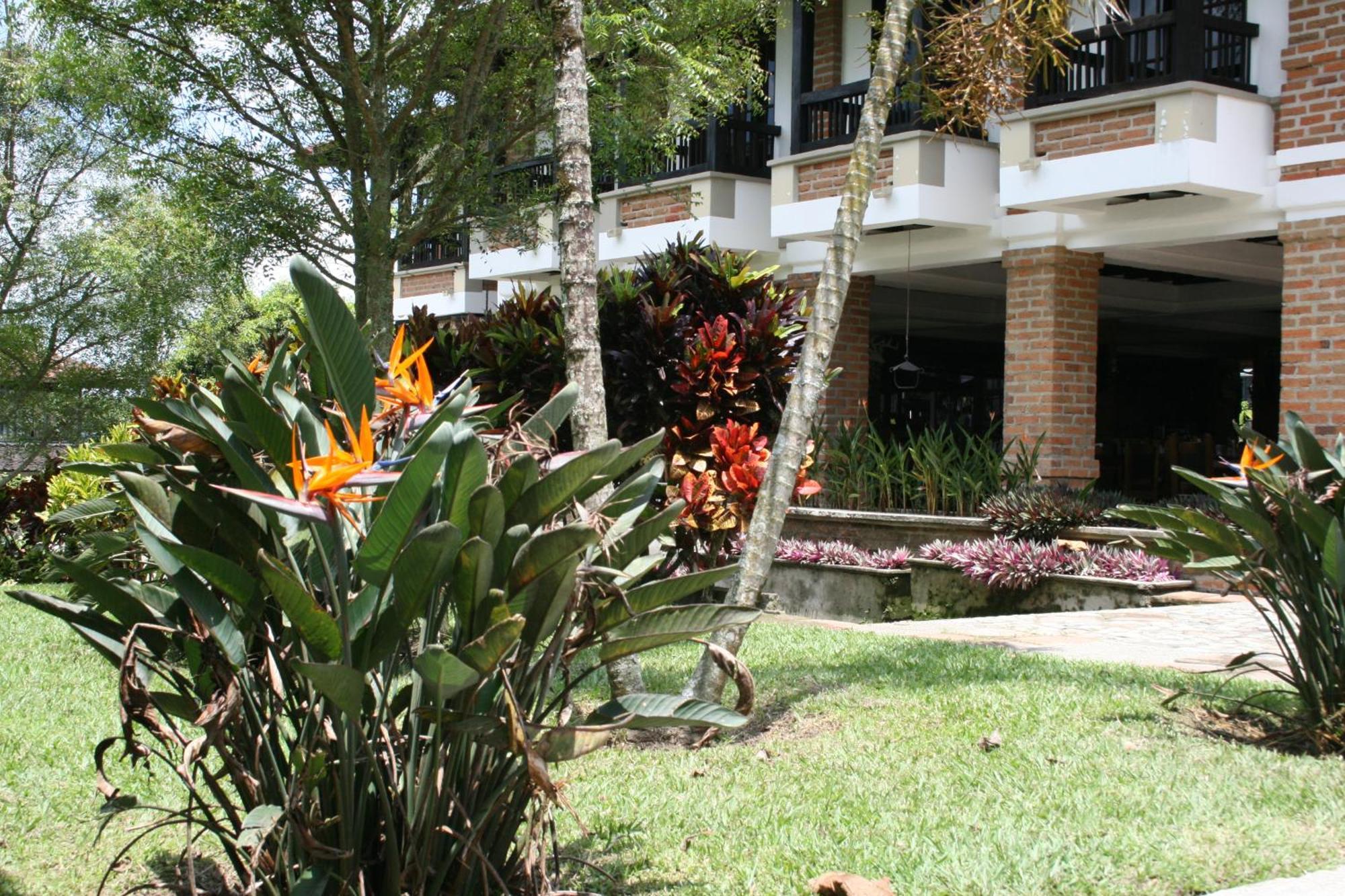 Finca Hotel La Esperanza Montenegro Ngoại thất bức ảnh