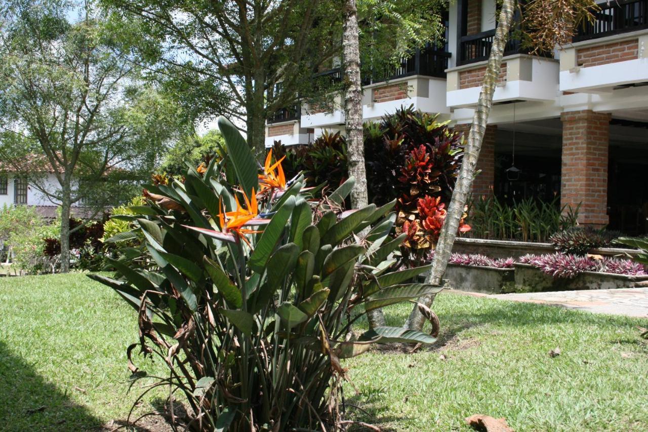 Finca Hotel La Esperanza Montenegro Ngoại thất bức ảnh