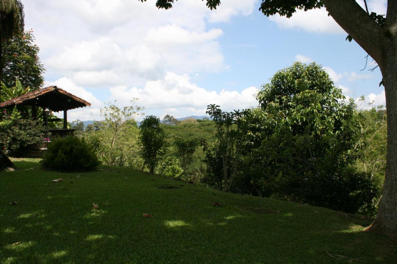 Finca Hotel La Esperanza Montenegro Ngoại thất bức ảnh